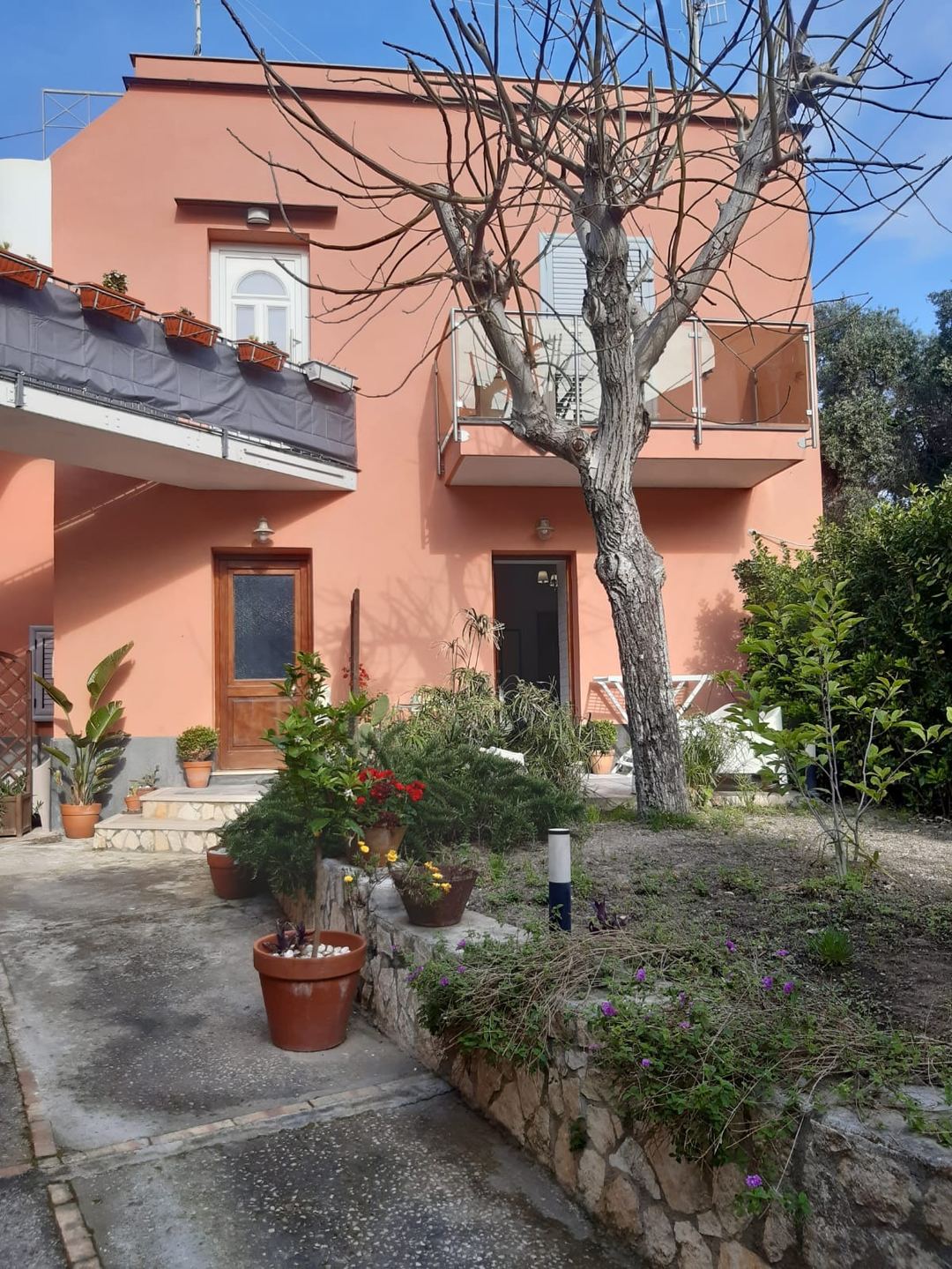 The front façade of Sonnino B&B, a charming coral-pink building with a welcoming entrance, mature tree, and planted garden courtyard.